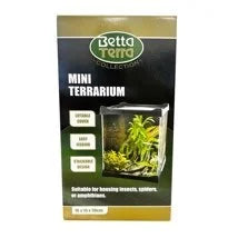 betta-terra-mini-terrarium