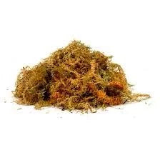 habistat-sphagnum-moss