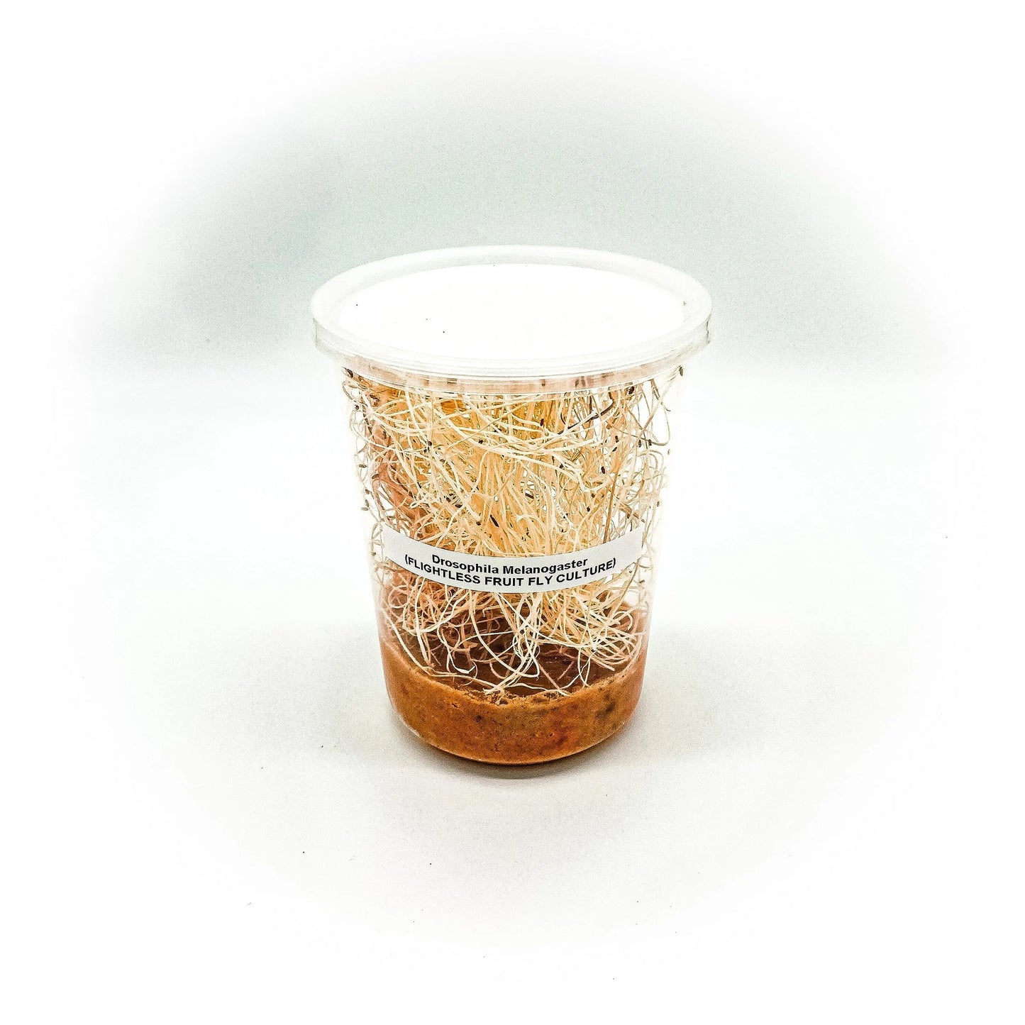 fruit-flies