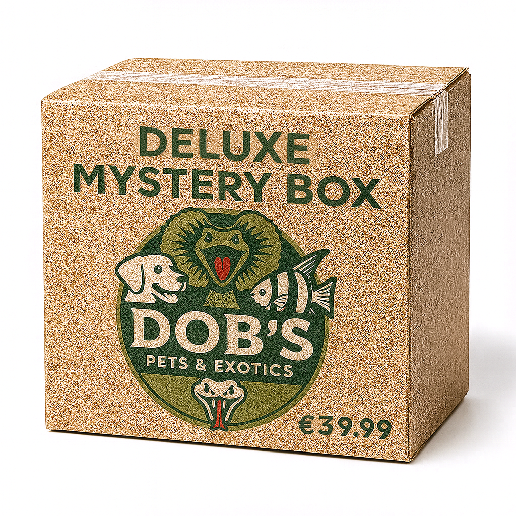 Deluxe Mystery Box