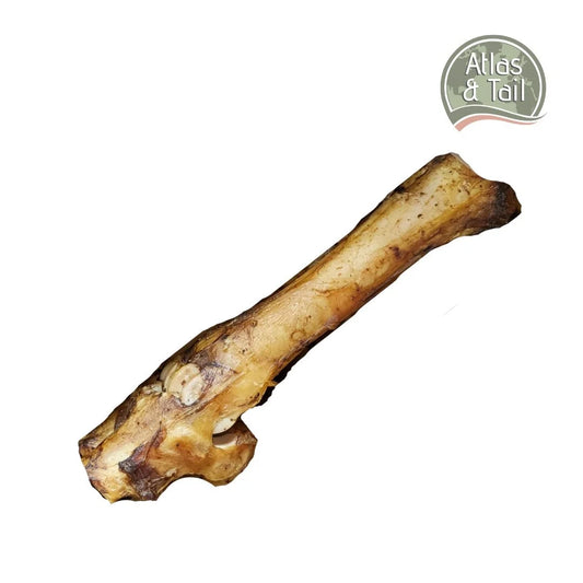 atlas-and-tail-beef-bone