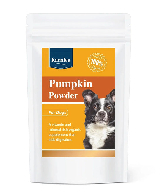 karnlea-pumpkin-powder-100g