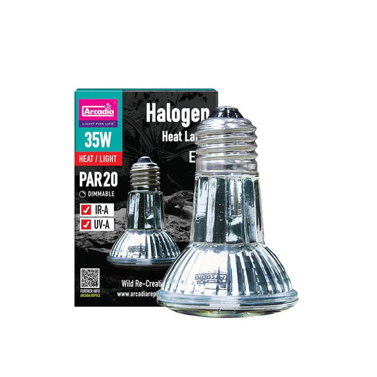 arcadia-35w-halogen-bulb