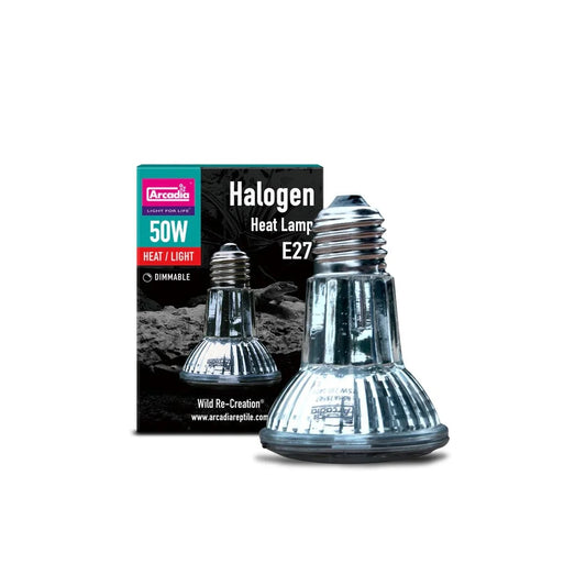 arcadia-50w-halogen-bulb