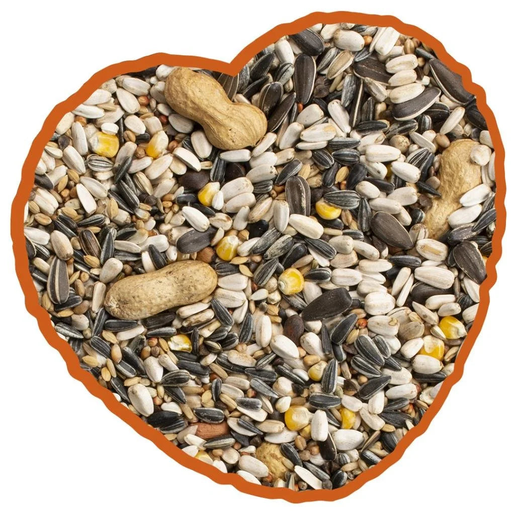 1kg-low-fat-duvo-parrot-mix