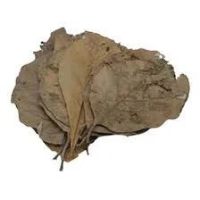 betta-choice-teak-leaves-x10