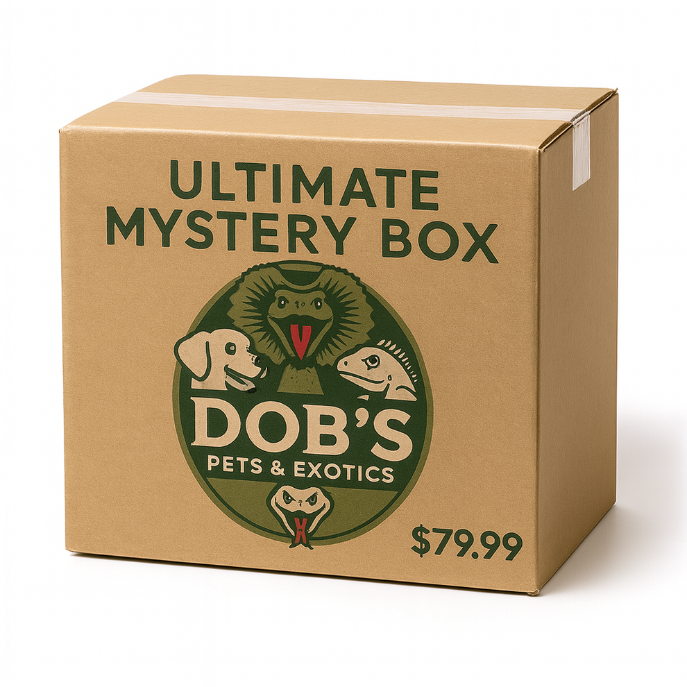 Ultimate Mystery Box – Dobs Pets & Exotics