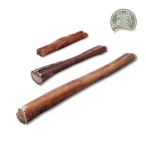 atlas-and-tail-bull-pizzle-25cm