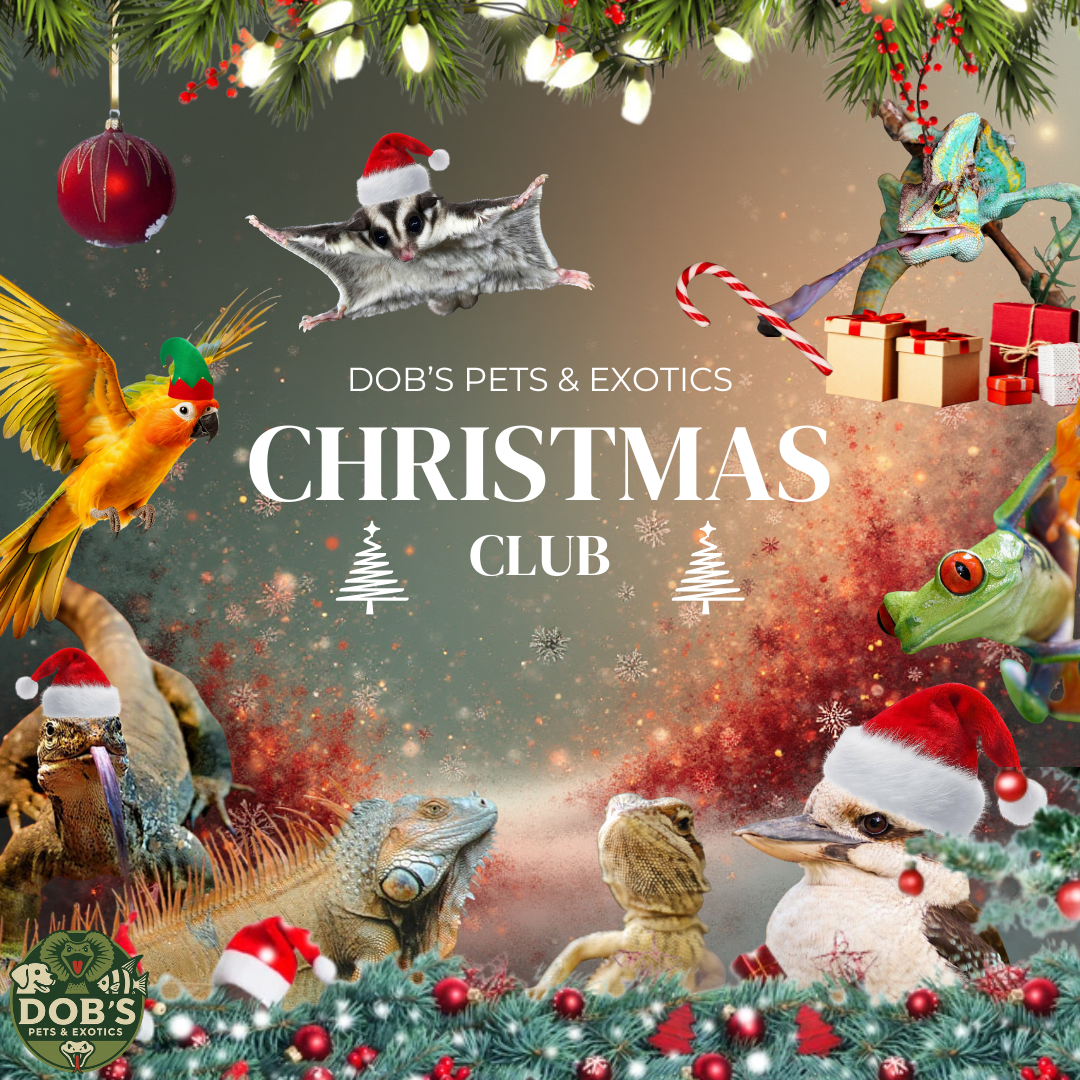 Christmas Club Top Up