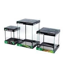 habitat-glass-terrariums