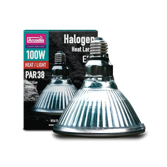 arcadia-100w-halogen-bulb