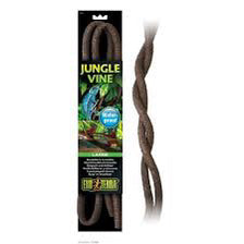 jungle-vine-large-exo-terra