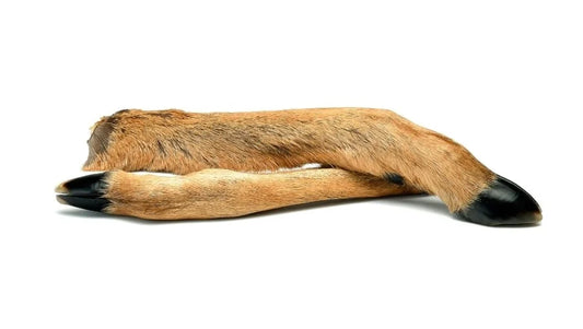 doe-legs-25cm