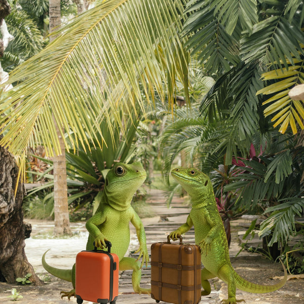 🛏️ Pet Hotel — 1 Day (Per Night, €6)