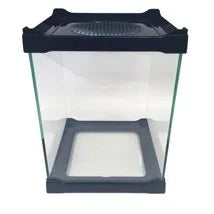 betta-terra-mini-terrarium