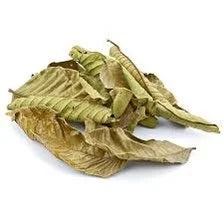betta-choice-guava-leaves