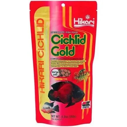 hikari-cichlid-gold