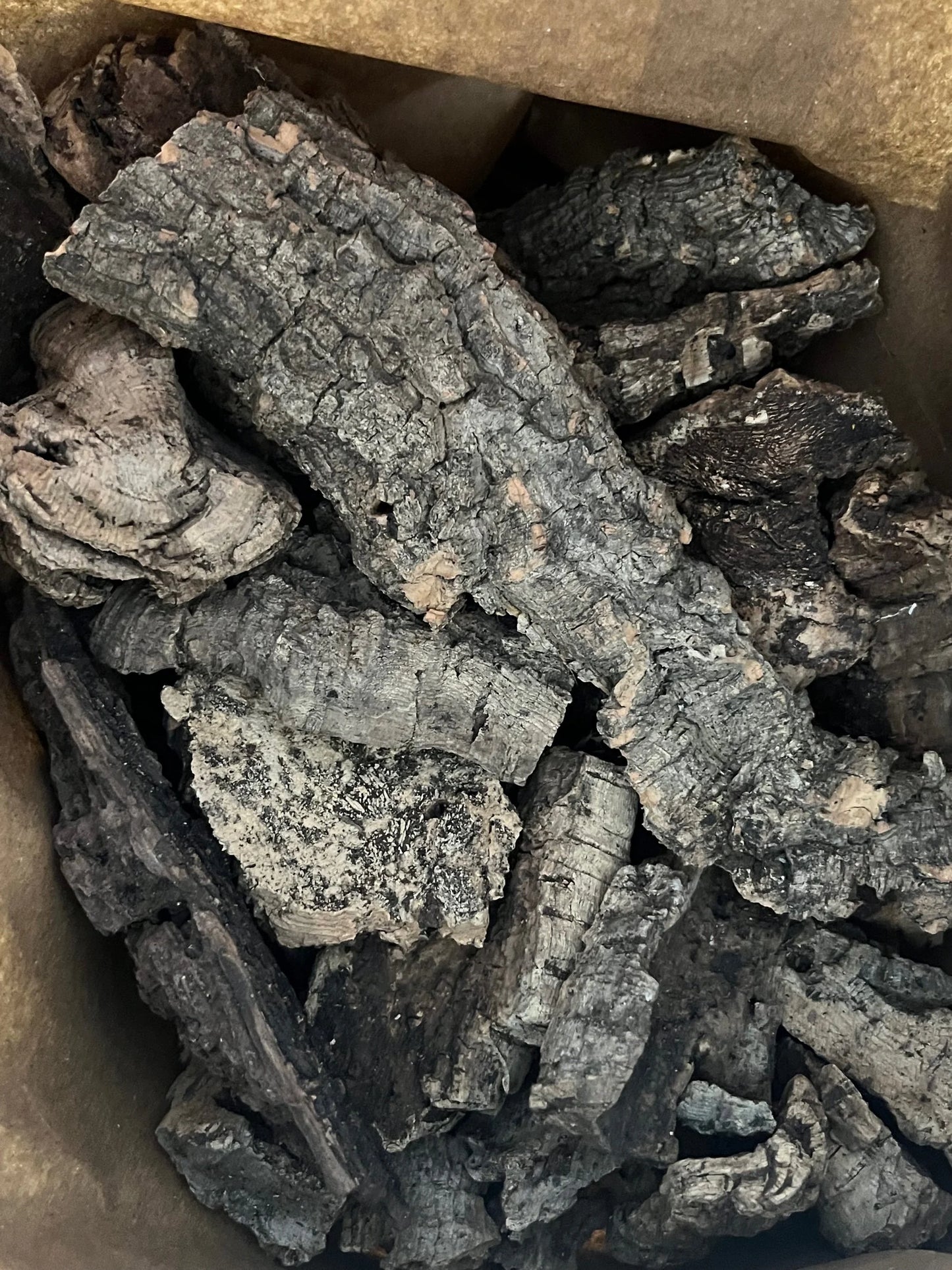 cork-bark