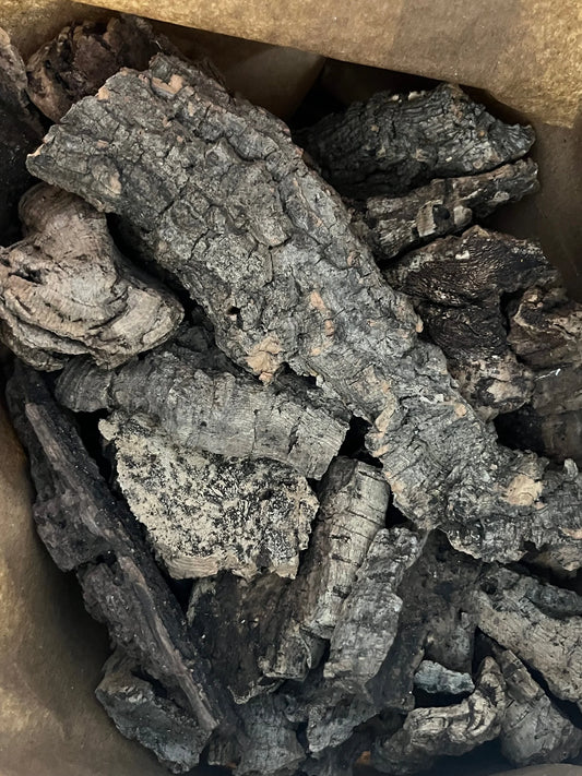 cork-bark
