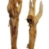 lamb-ears-with-head-skin
