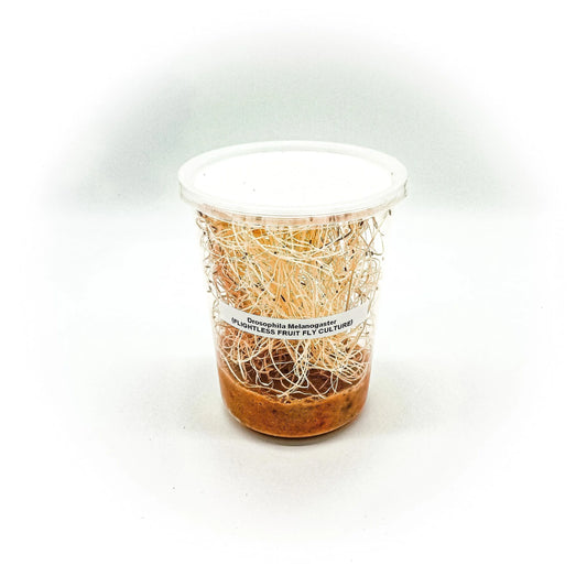 fruit-flies