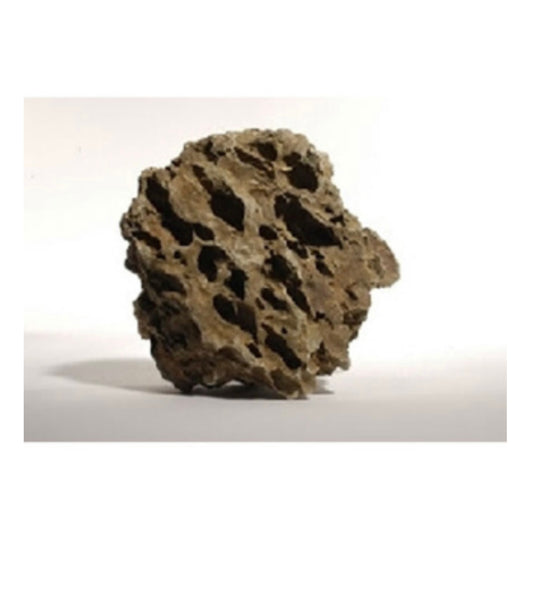Dragon store per KG