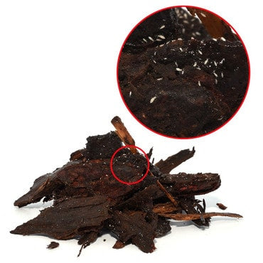 springtails-cultures-80g-tub