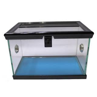 Betta Terra spider tank