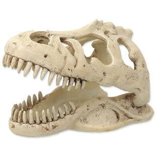repti-planet-t-rex-skull