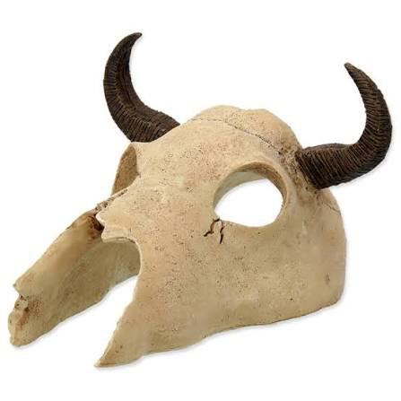 repti-planet-buffalo-skull