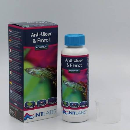 nt-anti-ulcer-and-fin-rot-100ml