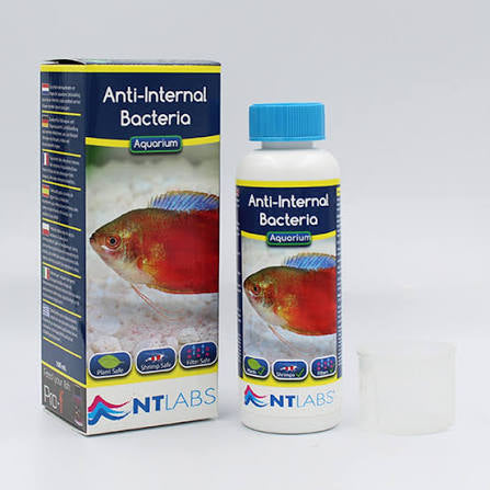 nt-anti-internal-bacteria-100ml
