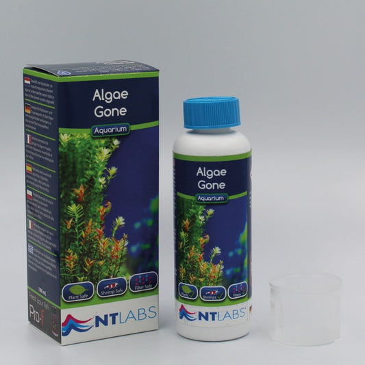 NT labs Algae gone 250ml
