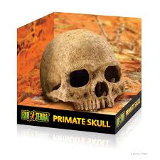 EXO TERRA PRIMATE SKULL