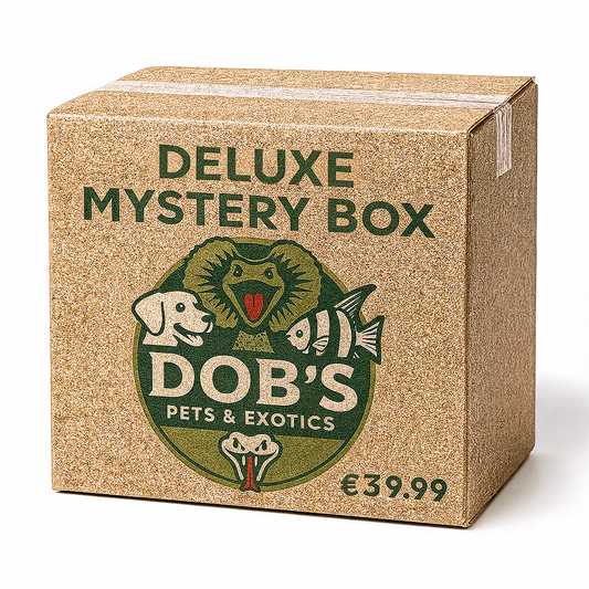 Deluxe Mystery Box